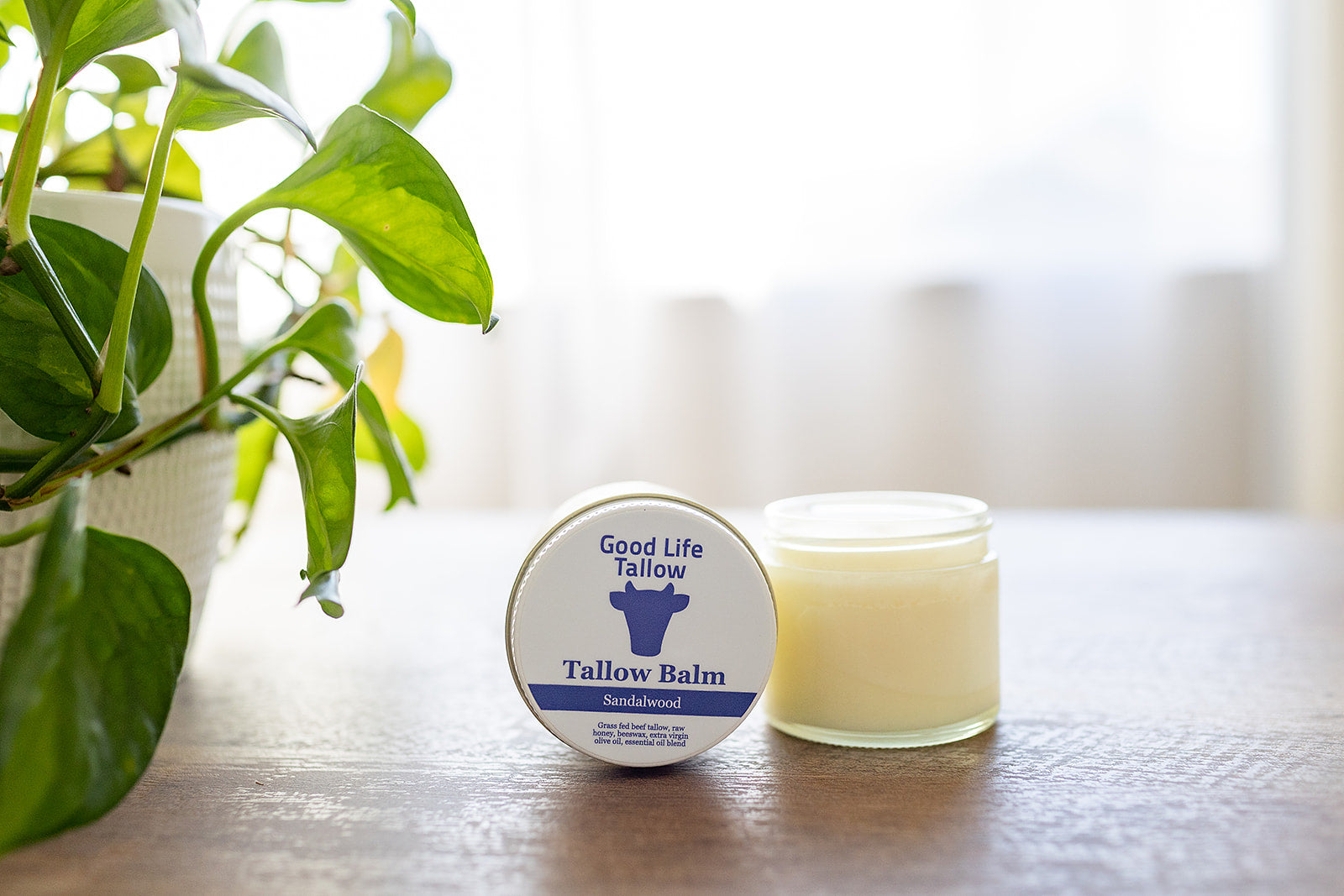 a showcase image of tallow balm on a desk with fresh plants for decor, grass fed beef tallow, beeswax, raw honey, extra virgin olive oil, essential oils ingredients