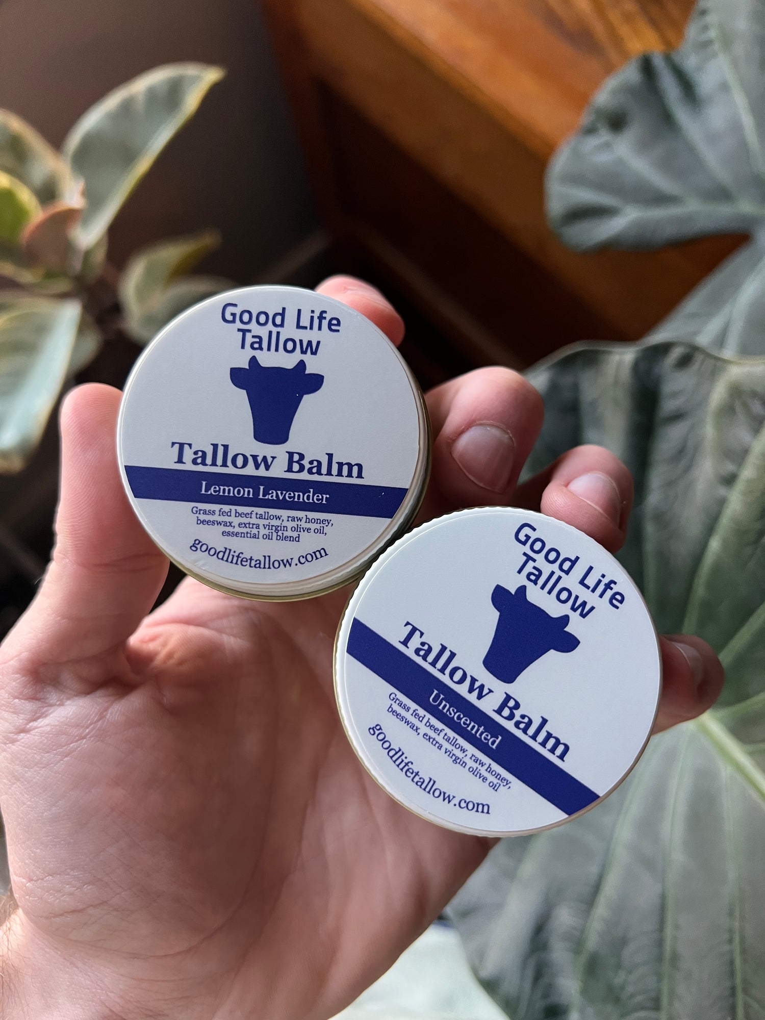 hand holding lemon lavender and unscented aesthetic grass fed tallow balm jars